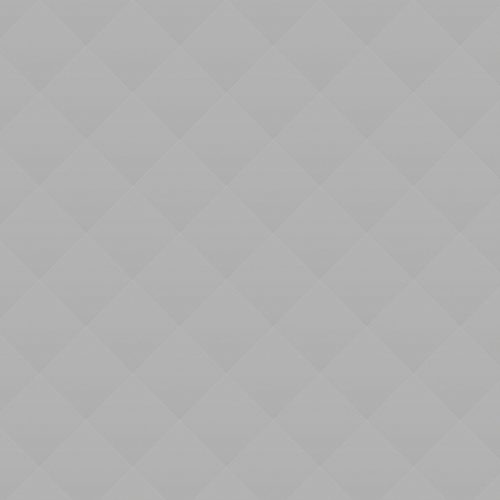 Online Reputation  Management